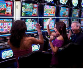 金年(金字招牌)诚信至上免费版